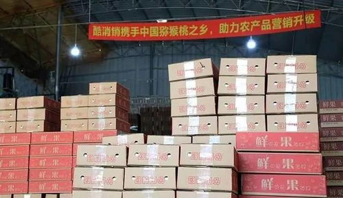 酷消销上市在即,农村电商依旧潜力十足