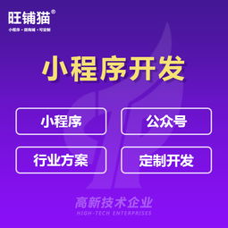 江门淘客系统定制开发 淘宝客网站定制 优惠券商城制作建设 江门析客