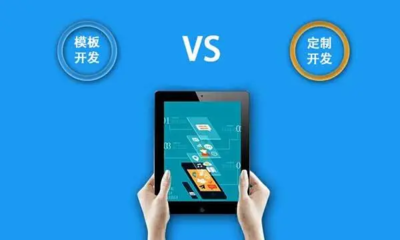 大寻网络软件模板开发与定制开发 商城系统开发的关键区别