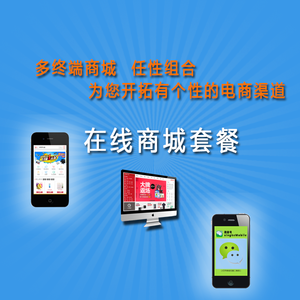 宝乐电商ERP系统 网络商城的智能化管理与定制开发解决方案