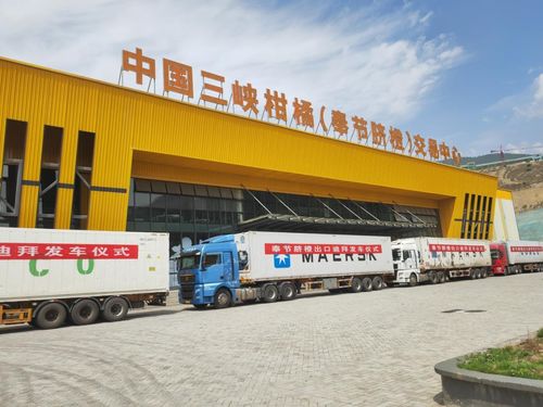 金橙飘香拓眼界 重庆奉节品牌添翼，促产业焕发新机