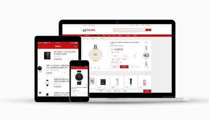 电商网站建设与系统开发 从规划到上线的全流程解决方案